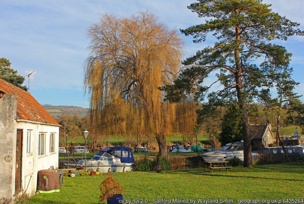 Saltford Marina © Wayland Smith