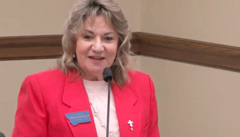 State Senator Theresa Manzella (R-Hamilton) discusses SB 91 at the hearing.