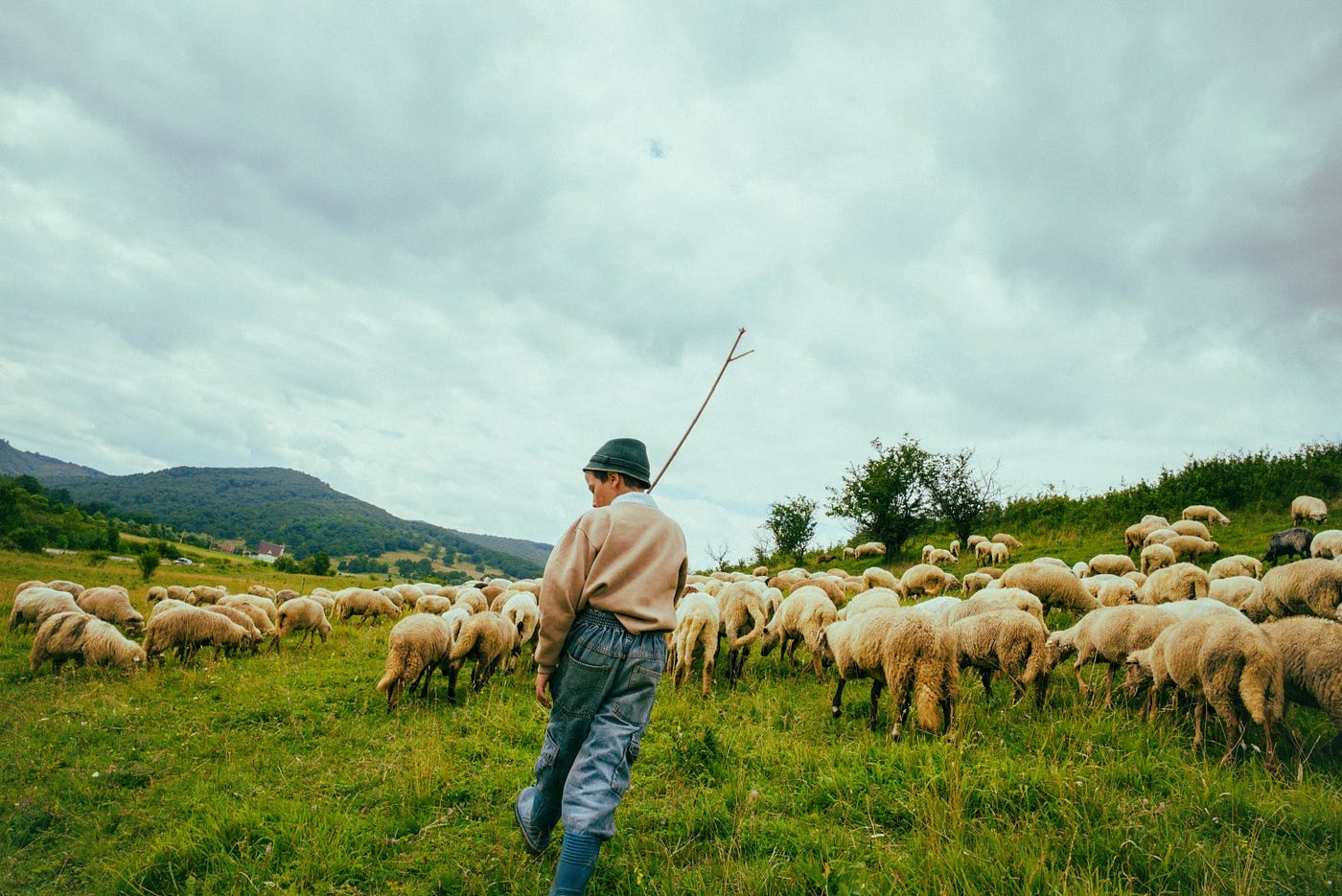 Finding The Shepherd. Photographing in Romania | by Josh Rose | Medium