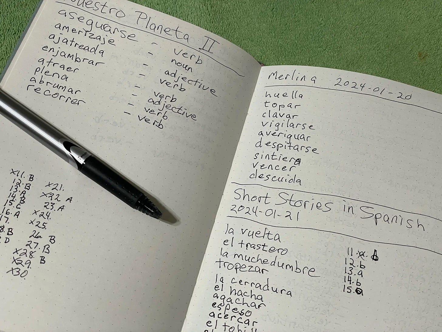 An image of an open notebook with lists of Spanis words on both page and a pen laid horizontally across the middle of the left page.