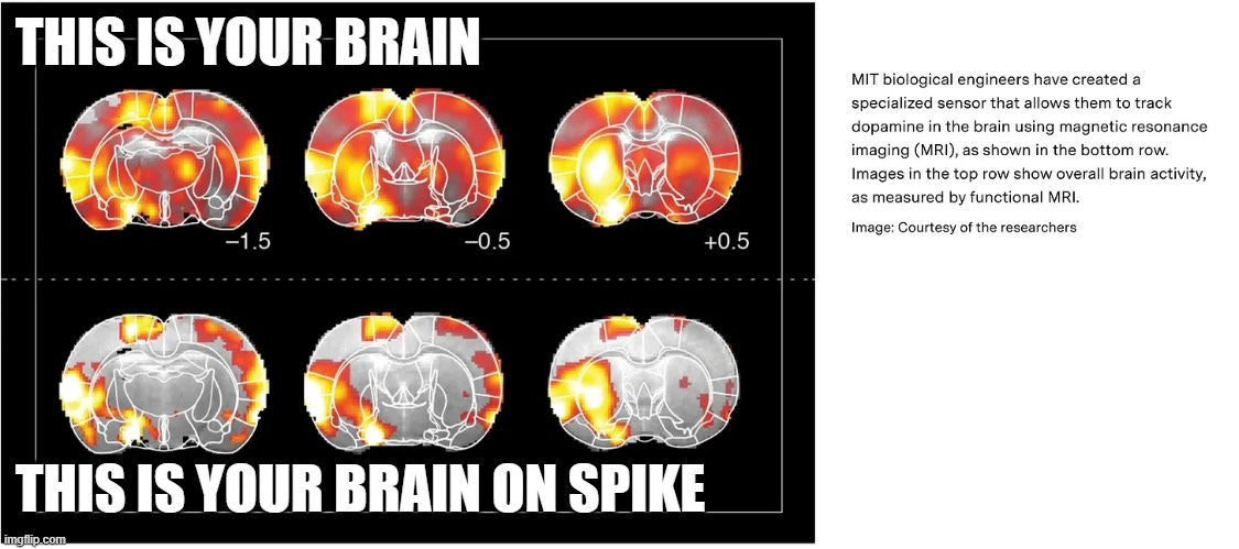 THIS IS YOUR BRAIN; THIS IS YOUR BRAIN ON SPIKE | made w/ Imgflip meme maker