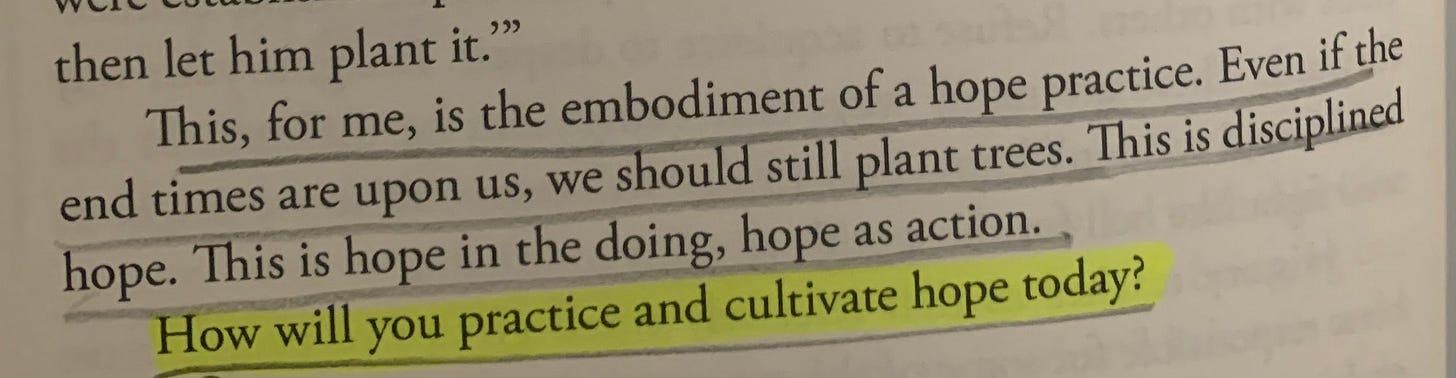 Highlighted text in a book discussing hope as action, emphasizing the importance of planting trees even in challenging times, and asking how to practice and cultivate hope today. Highlighted text in a book discussing hope as action, emphasizing the importance of planting trees even in challenging times, and asking how to practice and cultivate hope today.