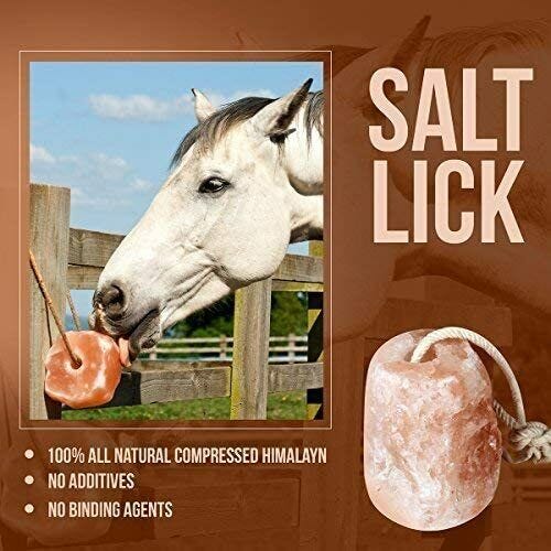 Himalayan Salt Lick on/with Rope for All Animals 5 to 6 Pound – El Navidon