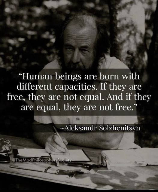May be a graphic of 1 person and text that says ""Human beings are born with different capacities. If they are free, they are not equal. And if they are equal, they are not free." ~Aleksandr Solzhenitsyn adPhilosophersSociety rsSociety"