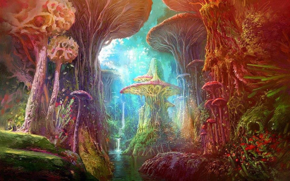 magic mushrooms by saykopineapple on DeviantArt
