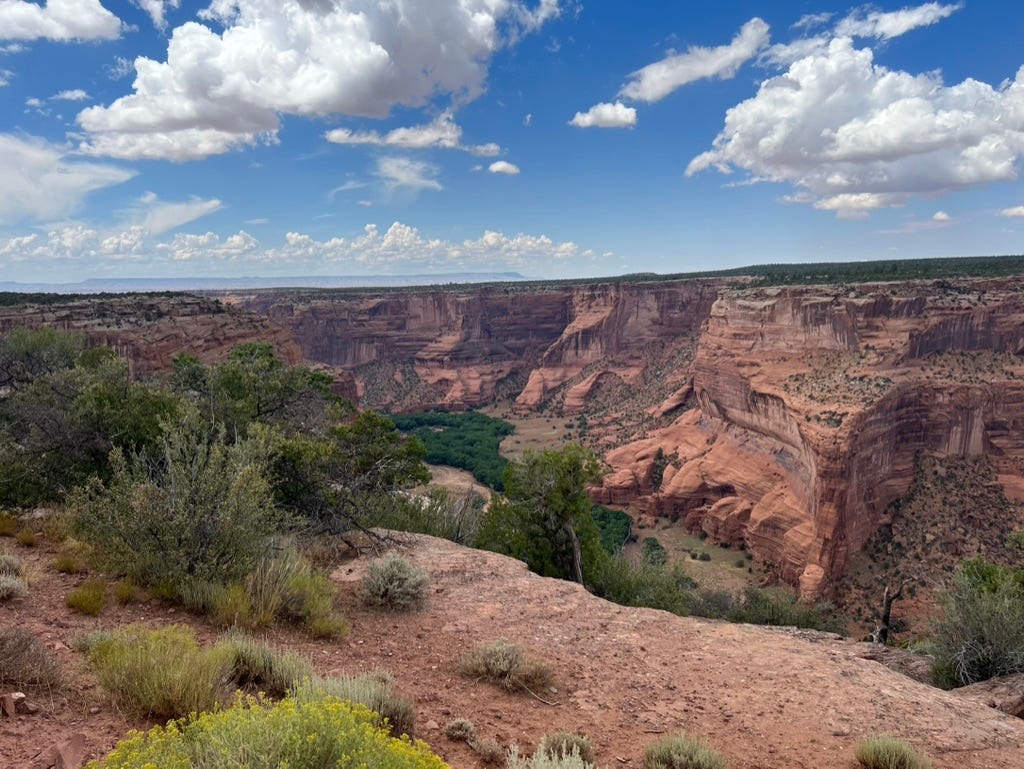 A landscape with a canyon and trees

Description automatically generated
