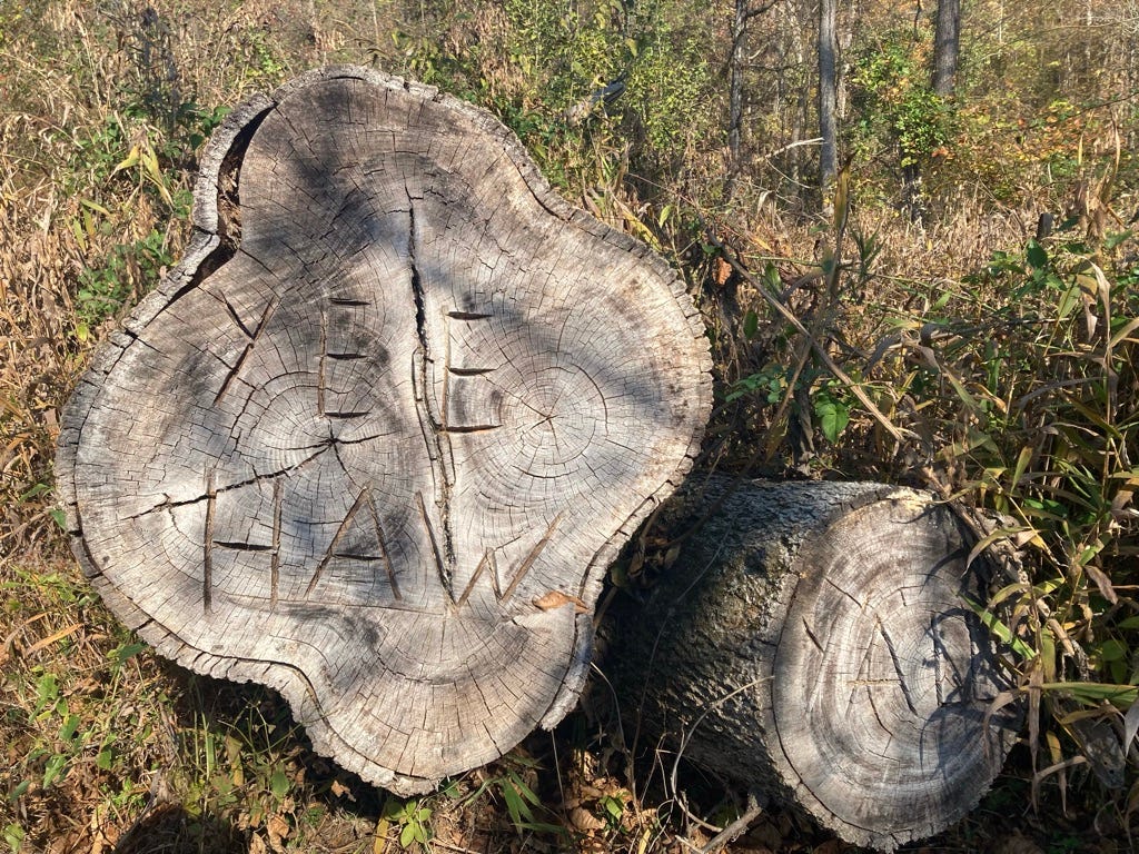 Yee Haw, Y'all carved into end rain of downed tree trunks