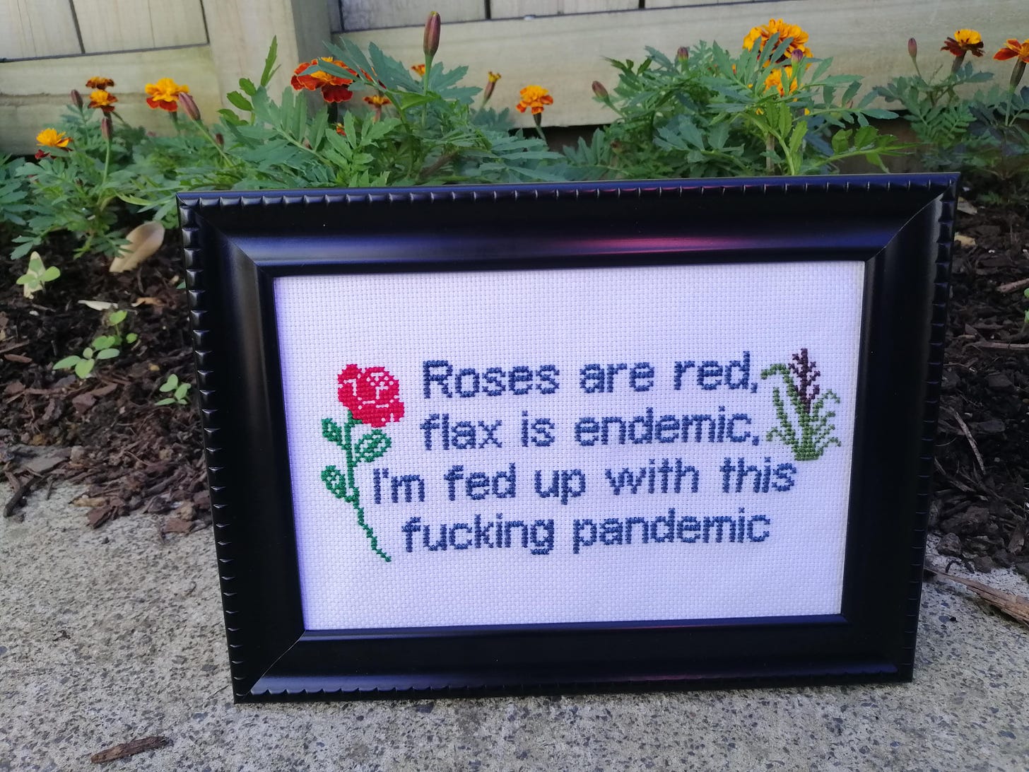 Cross stitch in a frame with a rose and a flax bush. The text reads "roses are red, flax is endemic, I'm fed up with this fucking pandemic"