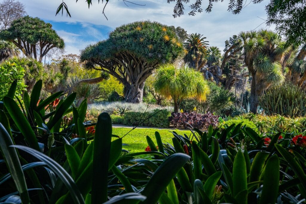 huntington gardens in los angeles