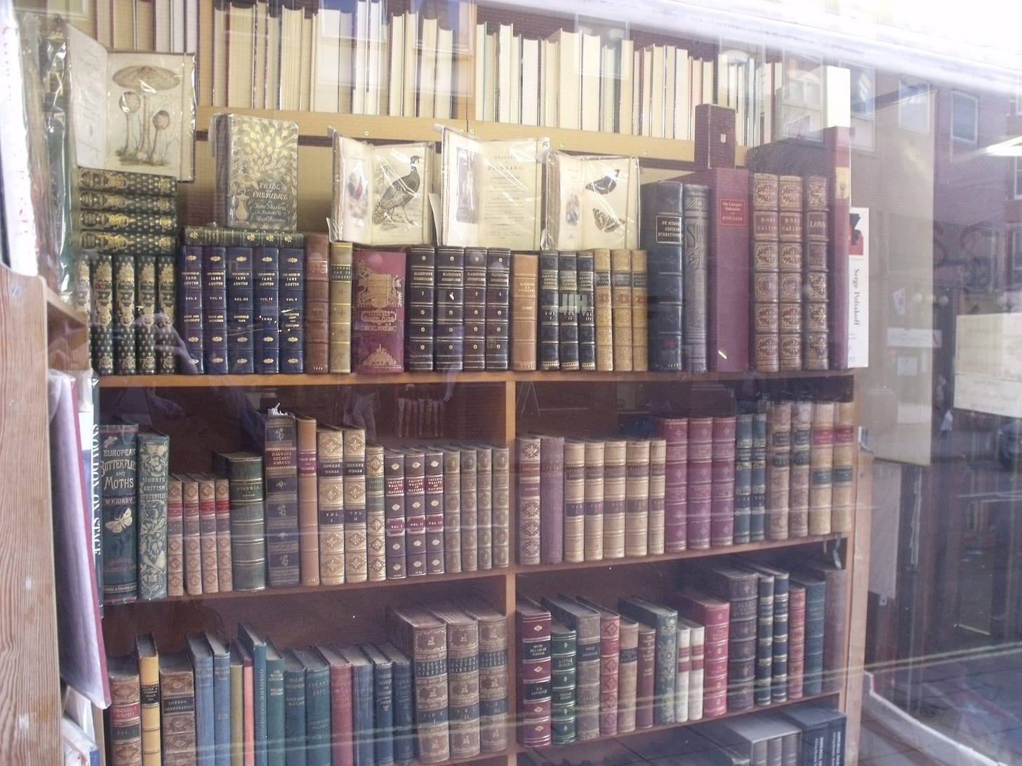 File:Books in a bookshop - Charing Cross Road, London (6433244361).jpg -  Wikimedia Commons