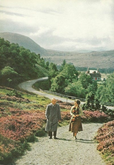 Heather growing in Scotland
National Geographic | July 1956