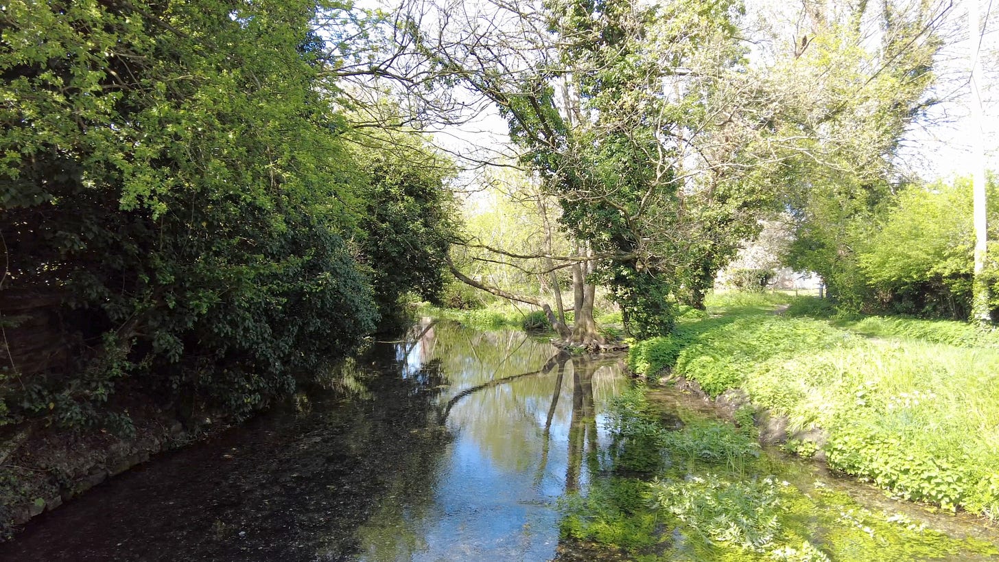 The River Till at Shrewton flows gently through the tree lined banks. 