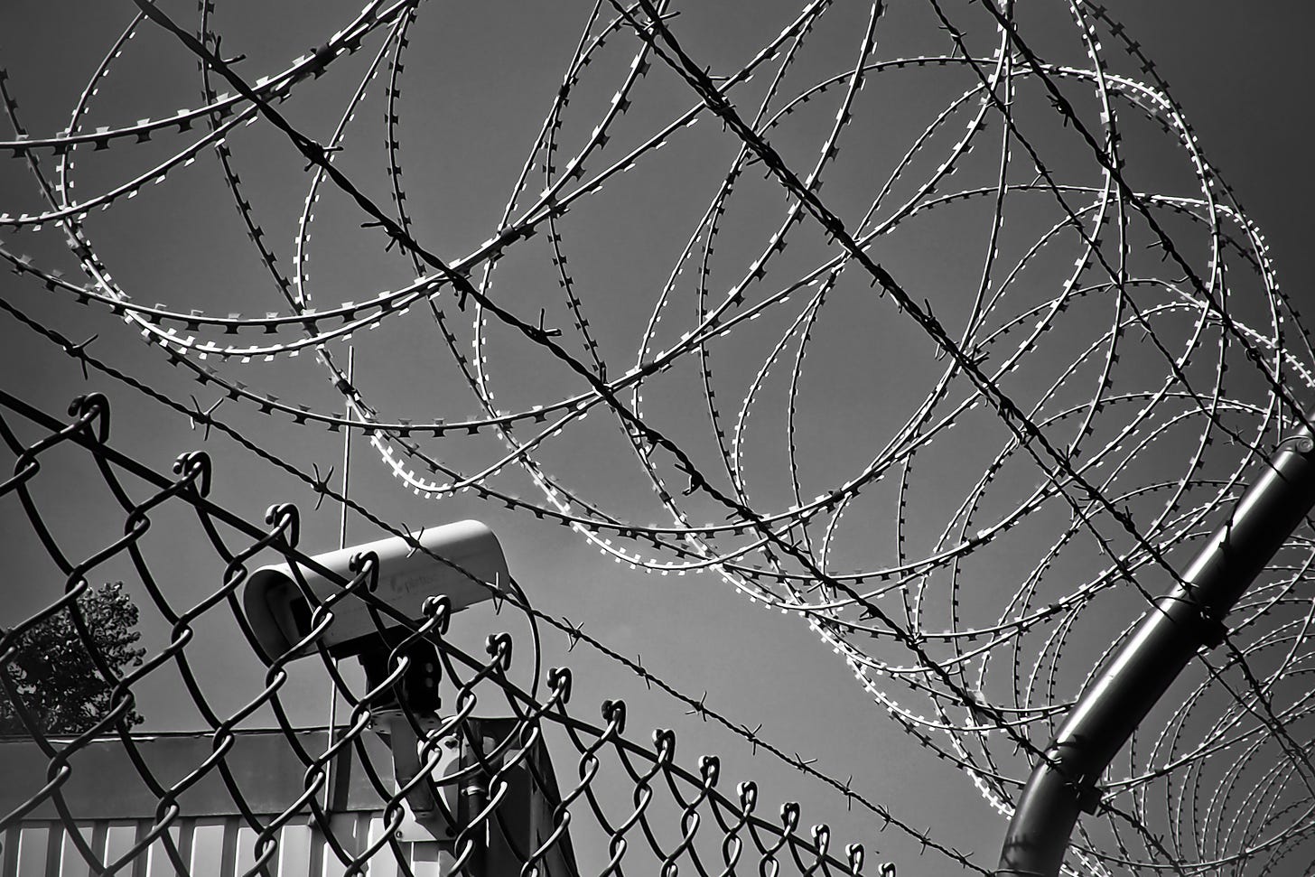 a black and white photo of prison barbed wire