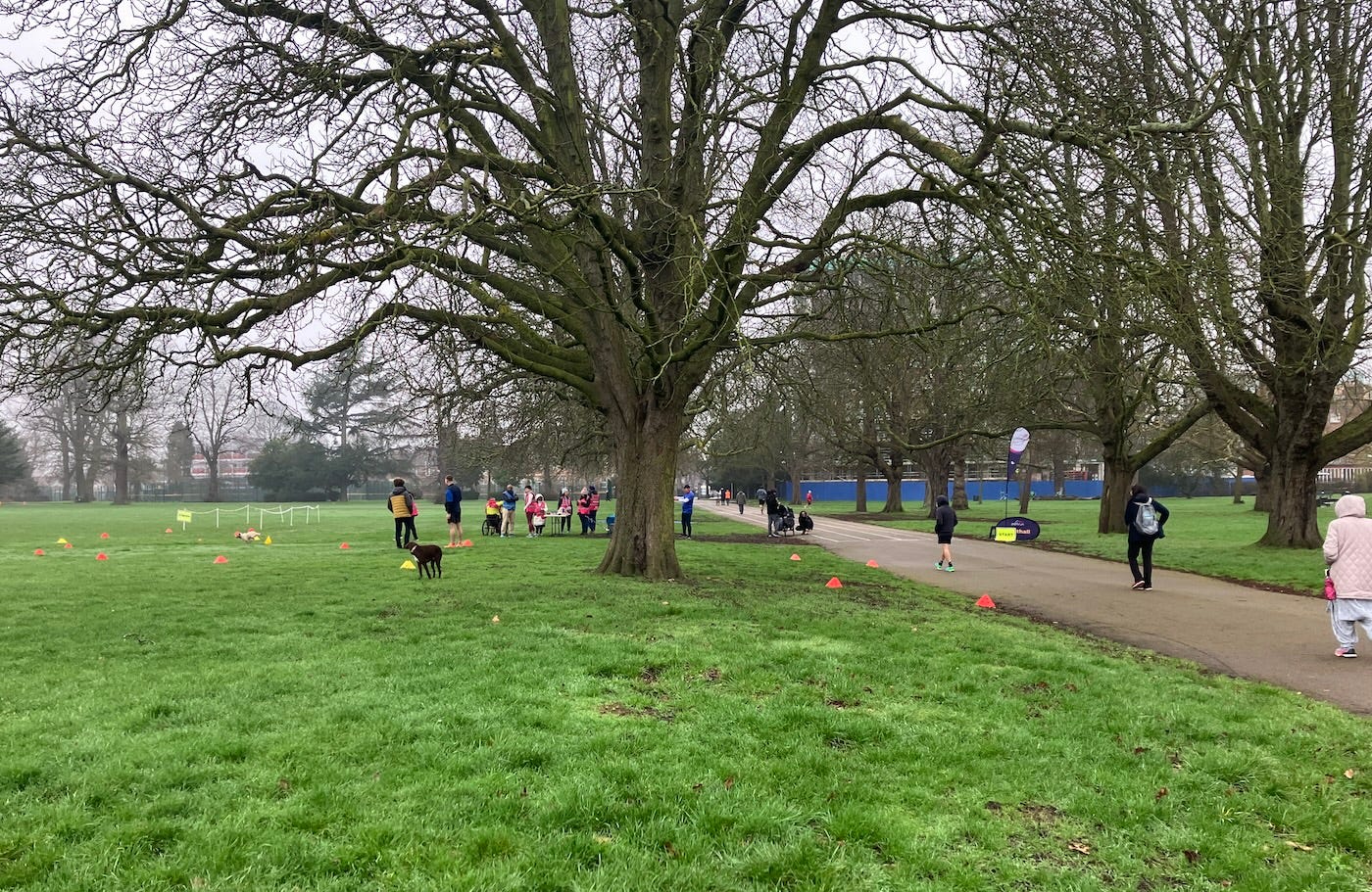 Group of volunteers in pink hi-viz on the grass under a large tree