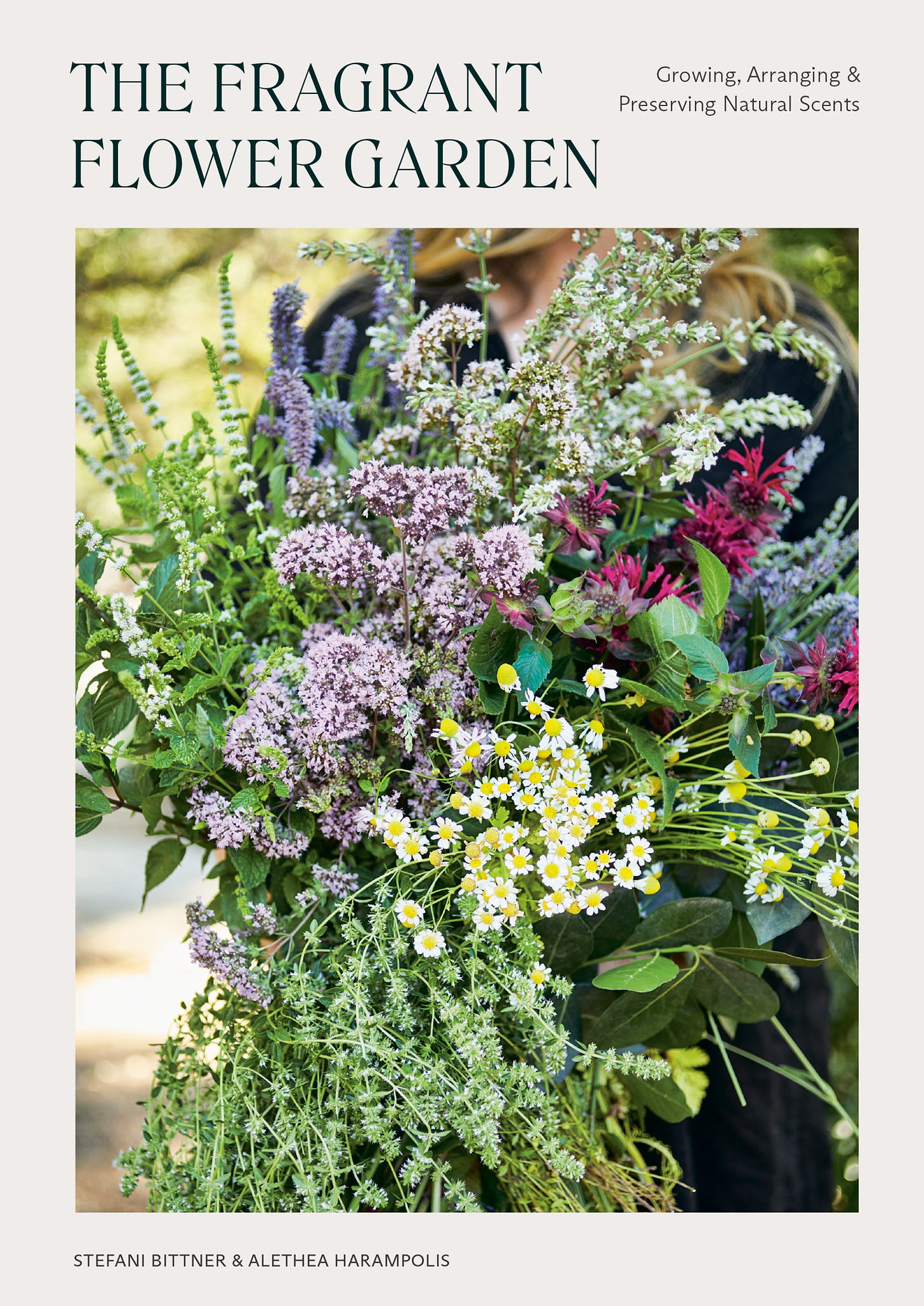 Image of my newest book cover. A bouquet of chamomile, mint, oregano, anise hyssop, bee bomb, lavender, bay laurel, and thyme - all fragrant and edible plants!