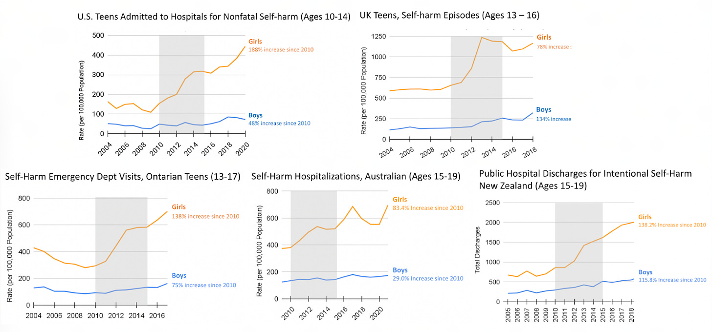 Self-harm episodes rising among girls across the anglosphere