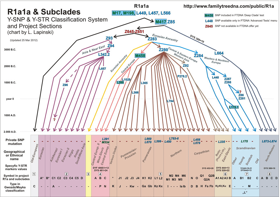 R1a1a & Subclades : r/illustrativeDNA