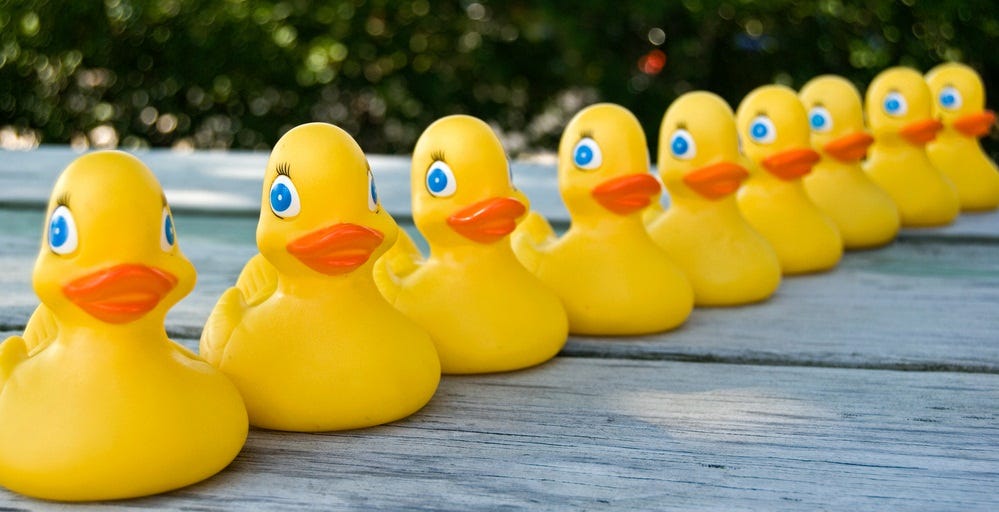 Is Your Business A Sitting Duck?
