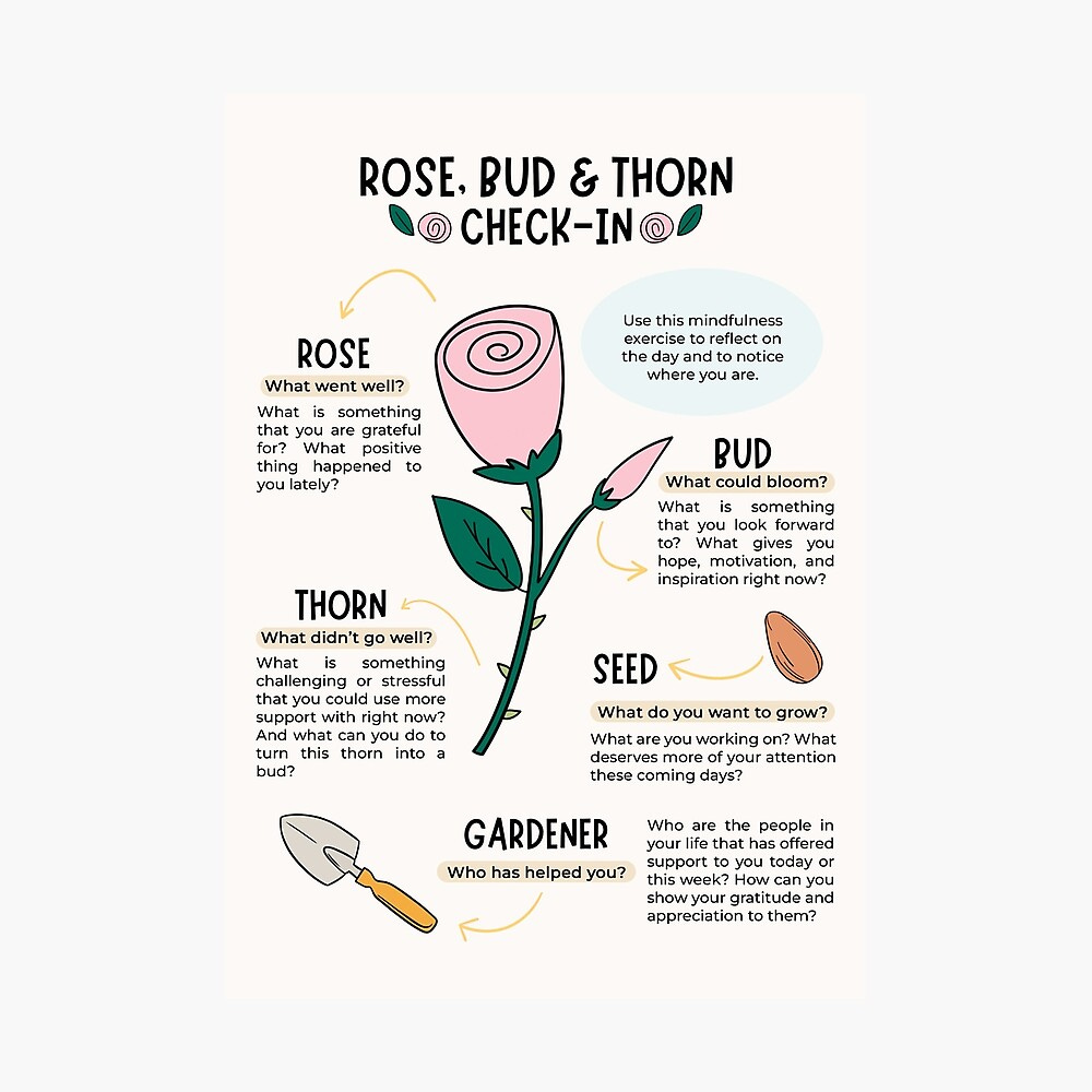 Rose, Bud, and Thorn Check-In | Metal Print