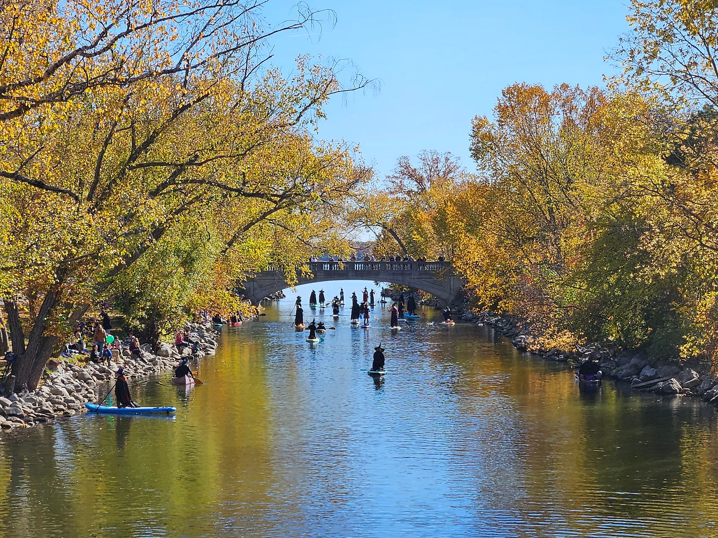 A calm river stretches to the horizon, flanked by trees in autumn yellows. About a dozen people dressed as witches stand on paddle boards all along the river.