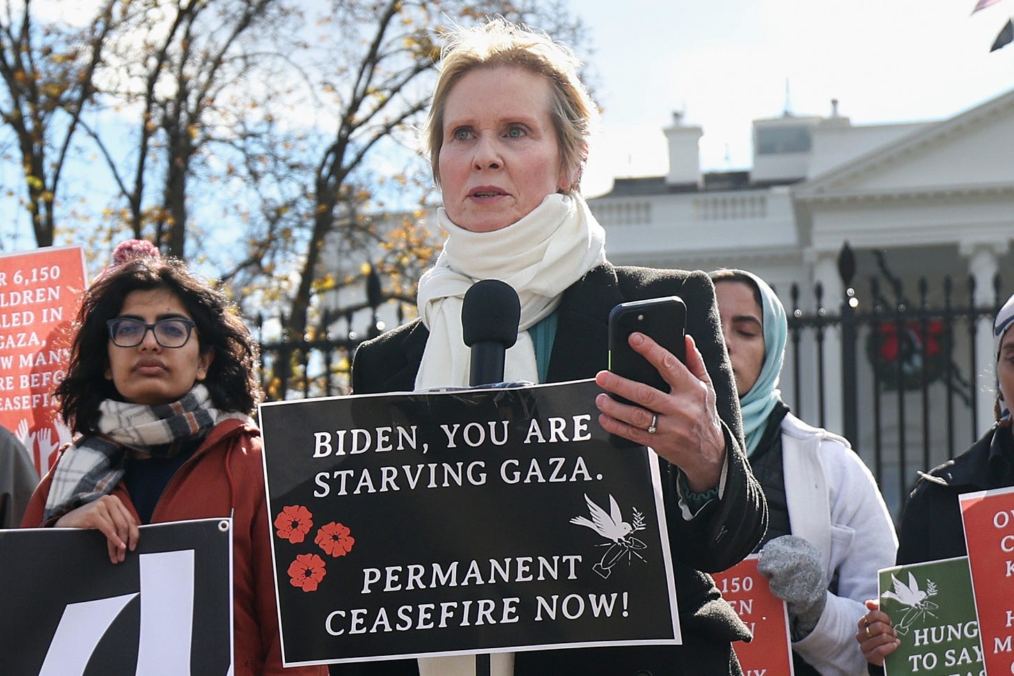 Cynthia Nixon Sparks Fury Over Gaza Support