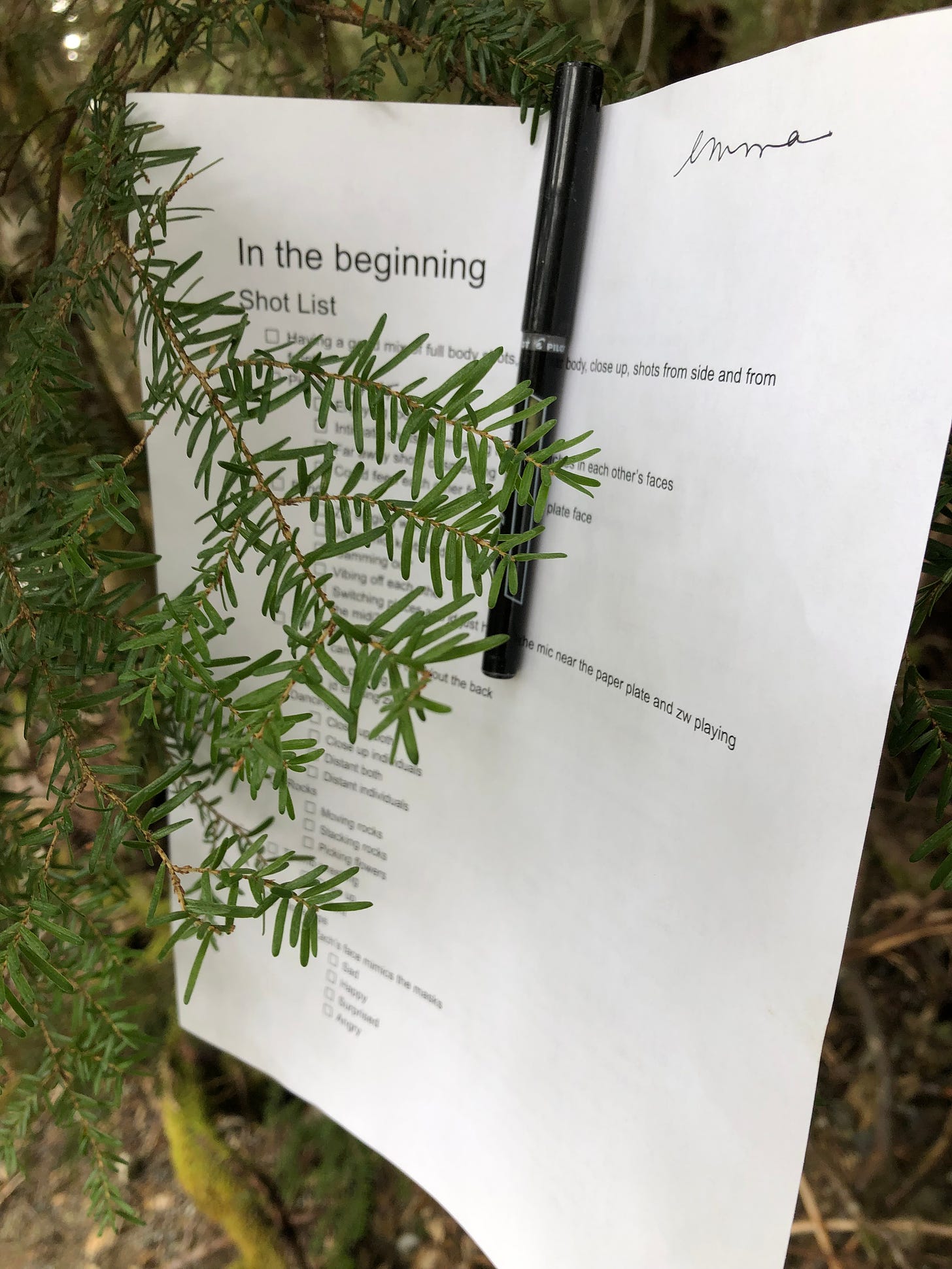 A piece of paper containing the music video shot list is pinned to a branch with a pen.
