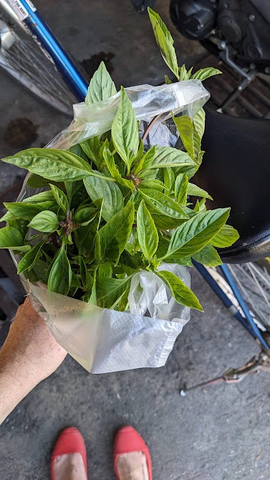 a handful of thai basil