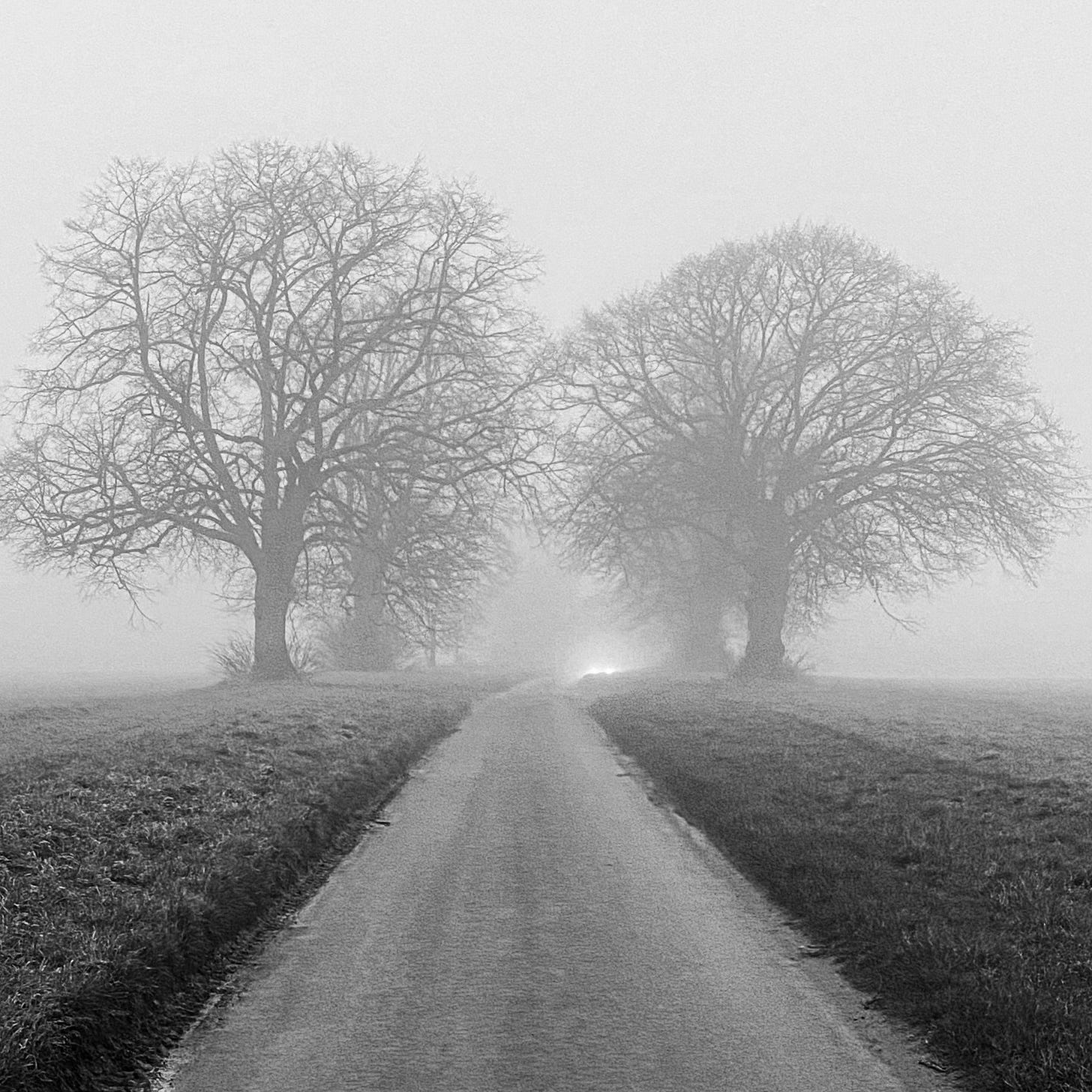 A central road vanishing into the misty distance, with trees either side of the road and a car's headlights in the distance