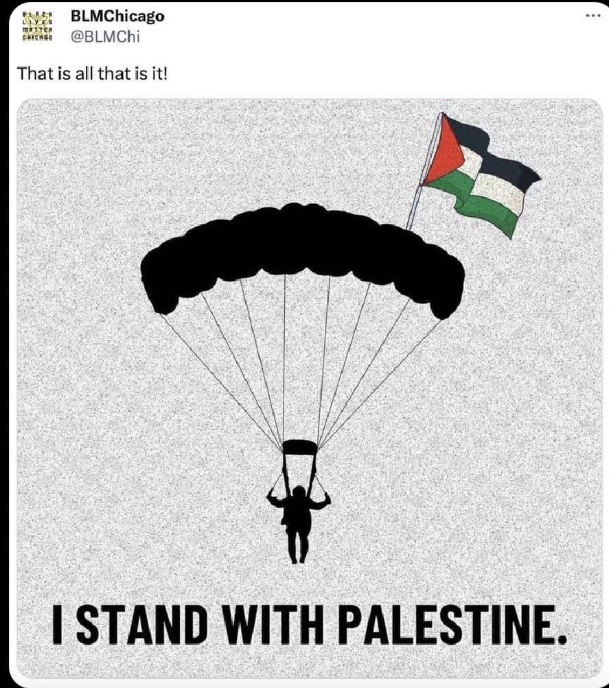 May be an image of 1 person and text that says 'UVE caItESO BLMChicago @BLMChi That is all that is it! ISTAND WITH PALESTINE.'