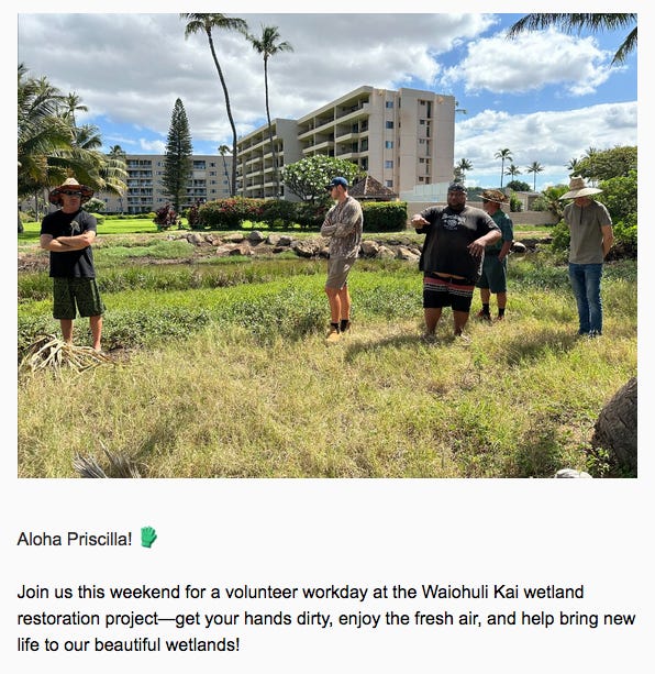 A photo of a sunny day with palm trees and a resort in the background. Standing on yellow-green ground cover in the foreground are five men in shorts and T-shirts and hats. One of them, arms raised, is explaining. The text reads: “Aloha Priscilla! Join us this weekend for a volunteer workday at the Waiohuli Kai wetland restoration project—get your hands dirty, enjoy the fresh air, and help bring new life to our beautiful wetlands!”