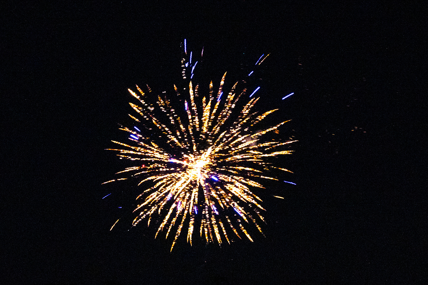 Fireworks exploding in blues and golds against a black sky