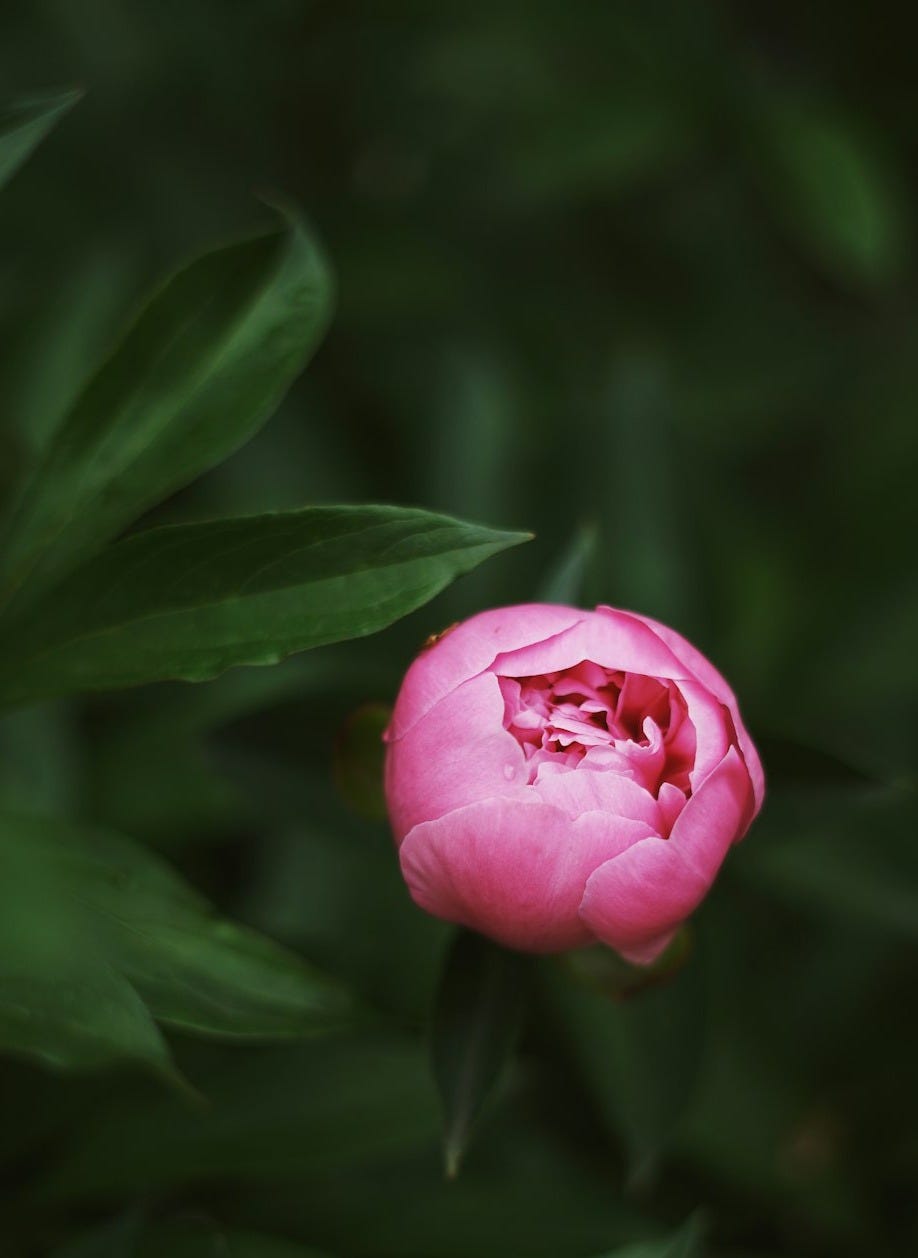 Tales from the Word Hoard 11 A Different Kind of Thirst