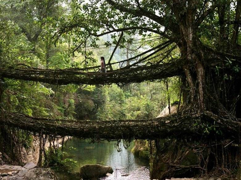 A person standing on a bridge over a river

AI-generated content may be incorrect.