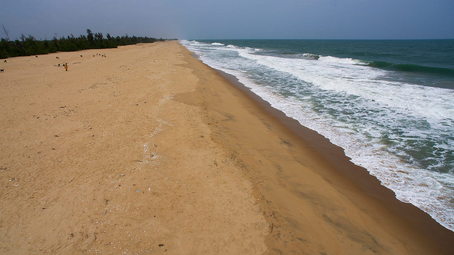 Film on India's Disappearing Beaches – Watch it, Share it, Help Spread the  Word | Conservation India