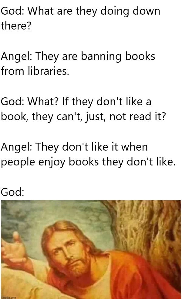 Text messages between god and angel. God: What are they doing down there? Angel: They're banning books from libraries. God: Why? If they don't like a book, can't they just not read it? Angel: They dont like it when people enjoy books they don't like. God: painting of Jesus, peeking around corner with his hand up in a "what's going on here" gesture of confusion