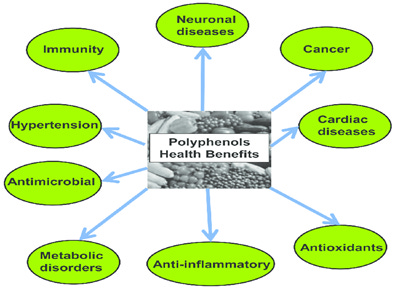 polyphenols