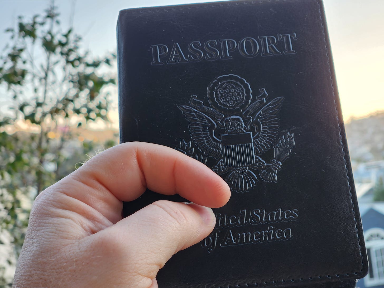 A passport against the sky.