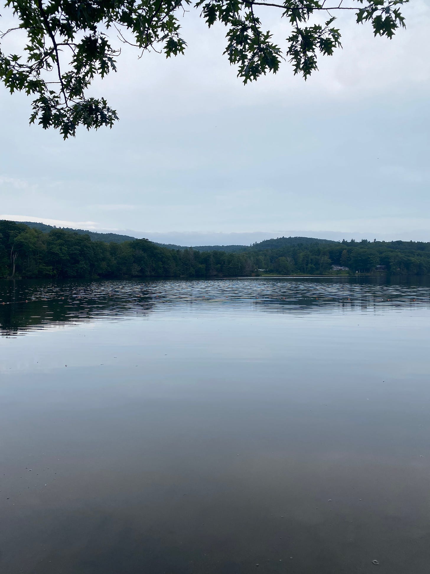A still lake under a pale blue and cloudy sky. There’s a line of hills beyond the water on the horizon, and a tree branch at the top of the frame.