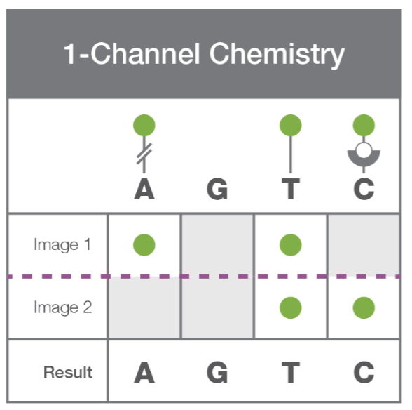 JP Morgan - Illumina and iSeq - Enseqlopedia