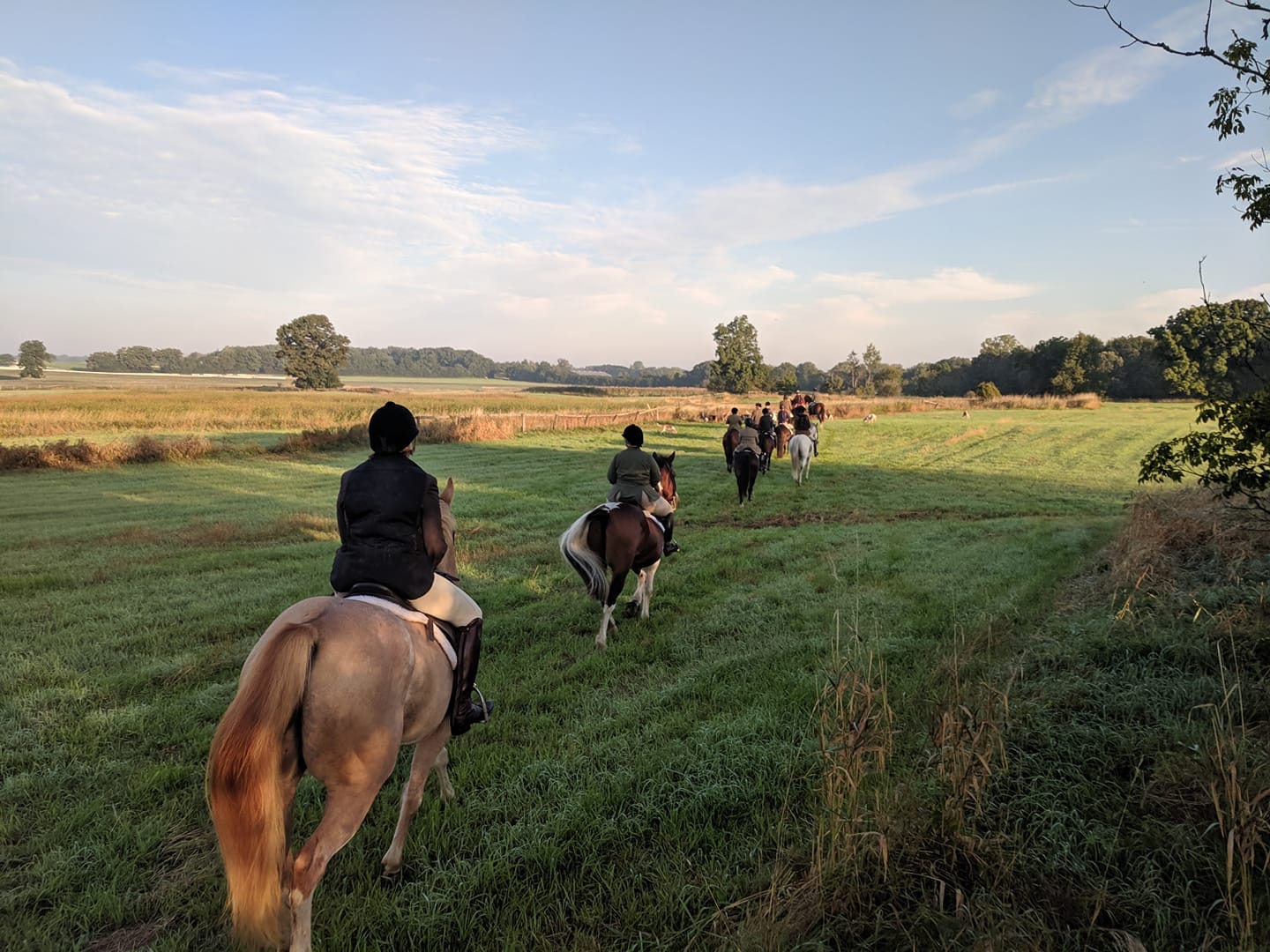 a line of horses with riders, riding single file through a field of wheat on one side and grass on the other. there are trees in the distance, and a pack of hounds beyond. the sky is blue with wispy clouds.