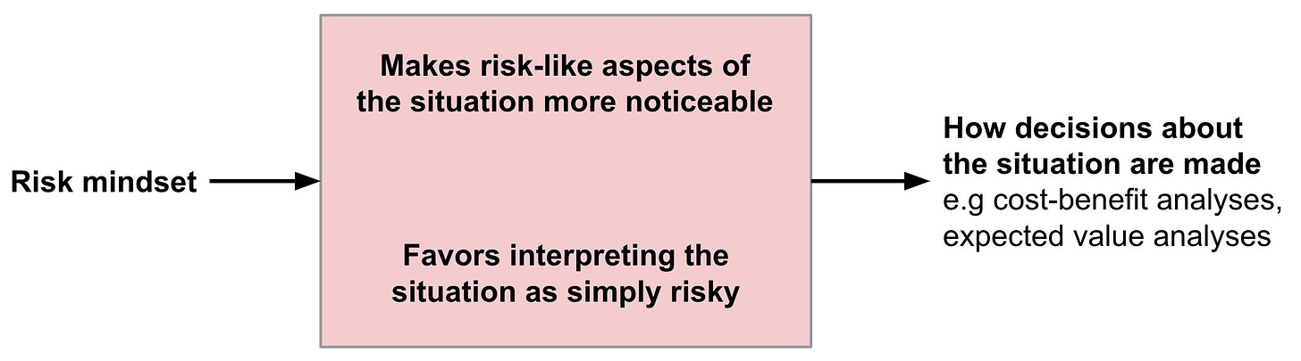 How risk mindset shapes perception, interpretation, and decisionmaking about a situation