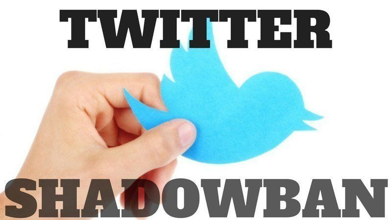 Twitter Engineers Caught Admitting They Shadow Ban the Right and Let off the Left leaning accounts