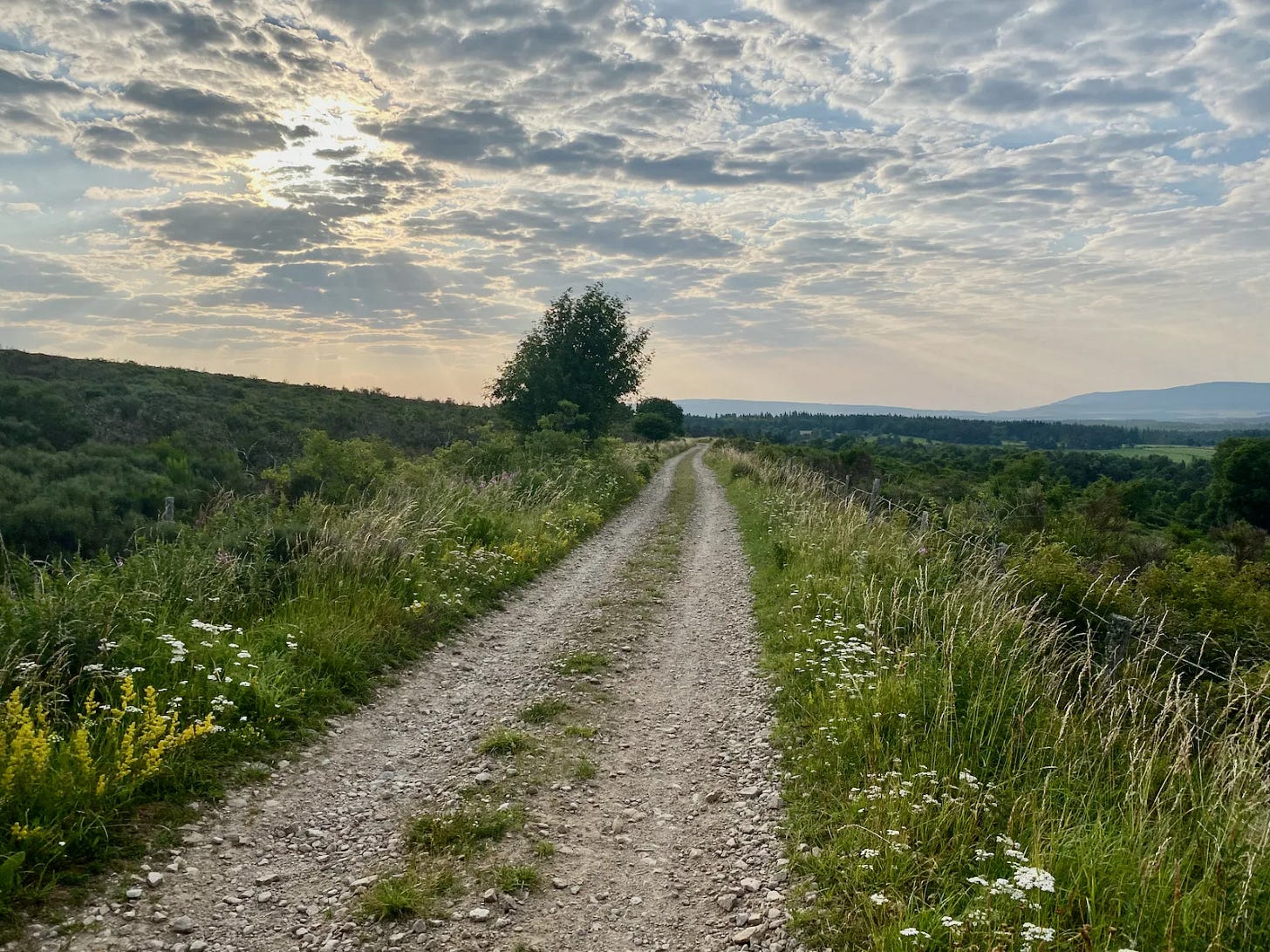 Créer une trace est un art narratif Créer une trace est un art narratif