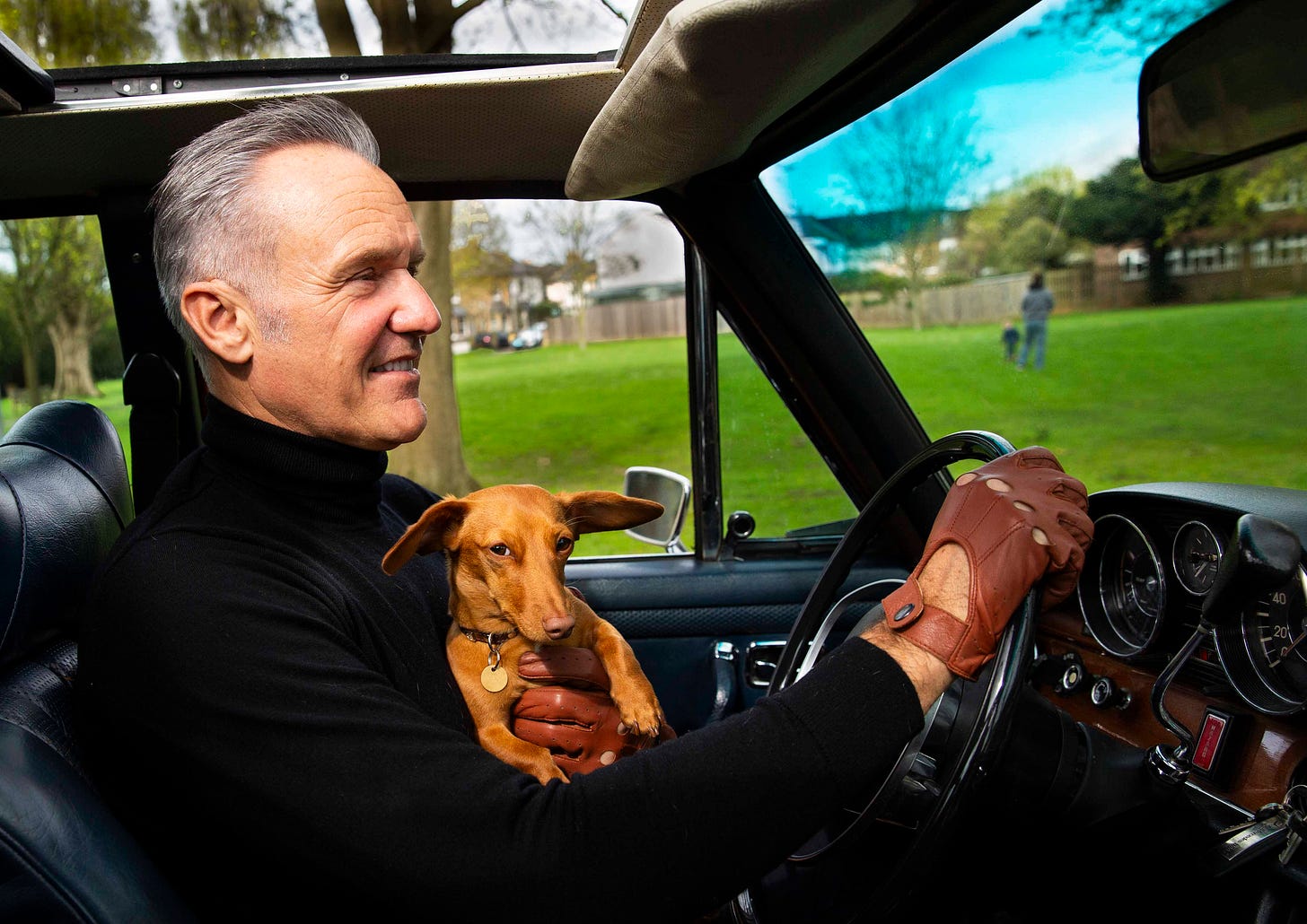 Dogs Just Exist (and cats can't read) by Simon Bohrsmann