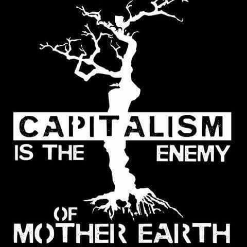 Meme that says Capitalism is the enemy of the earth