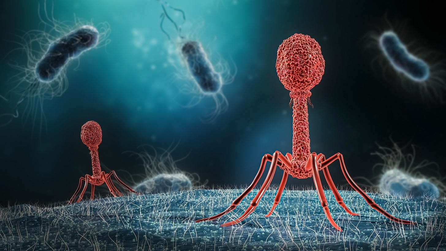 Exploring synthetic engineering of bacteriophages Exploring synthetic engineering of bacteriophages