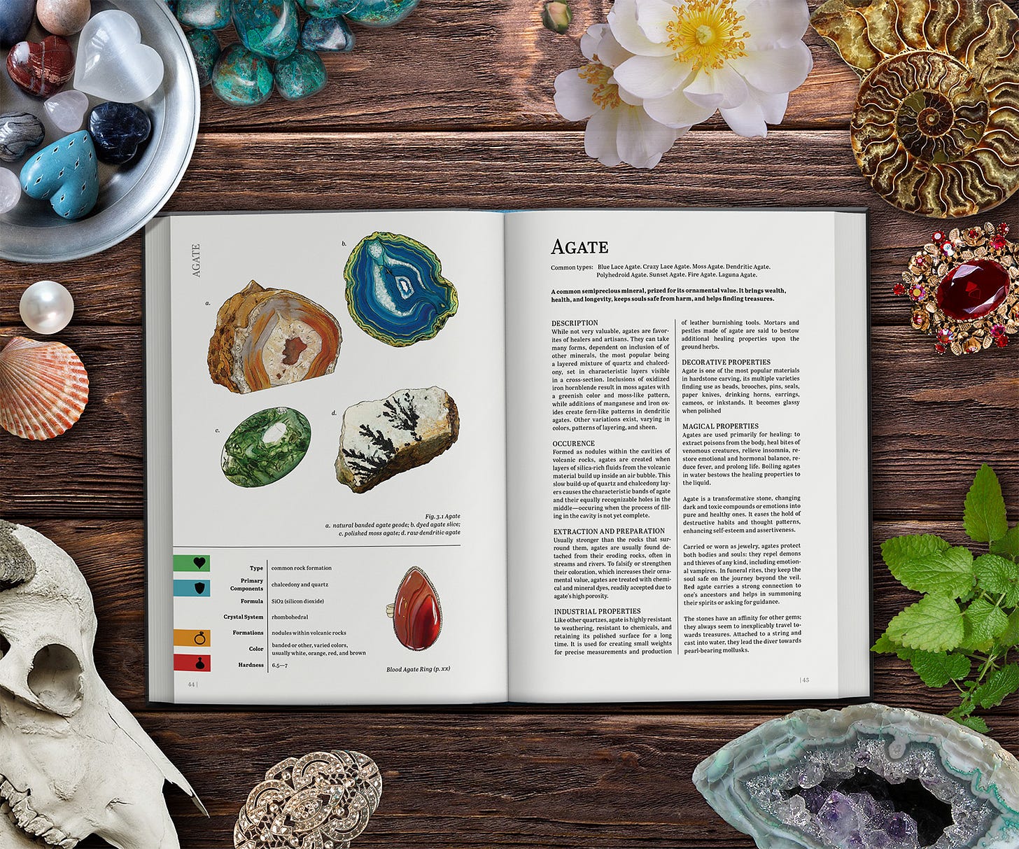 A mockup of the book open on the entry about agate, surrounded by a variety of gems, treasures, and witchy paraphernalia.