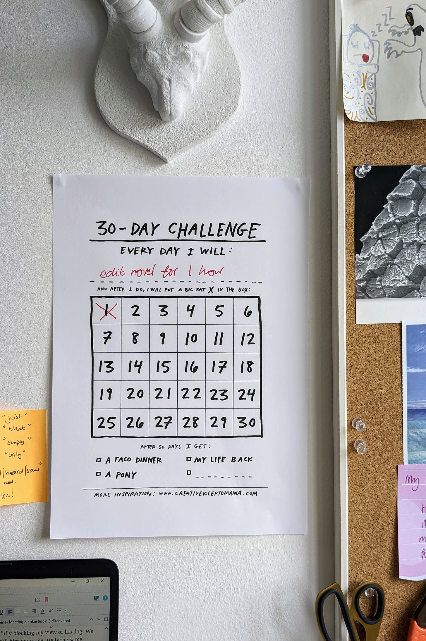 30 day challenge print out and stuck to the wall