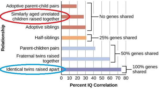 Môže ísť o grafiku, na ktorej je text, v ktorom sa píše „Adoptive parent-child pairs Similarly aged unrelated children raised together Adoptive siblings No genes shared Half-siblings Parent-children pairs 25% genes shared Fraterna Fraternal twins raised together Identical twins raised apart 50% genes shared 0 10 20 30 40 100% genes shared 50 60 70 80 Percent IQ Correlation“