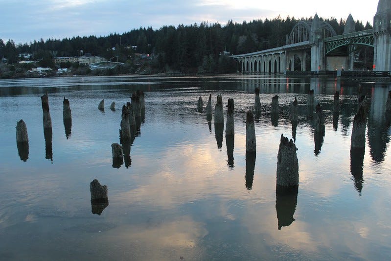 In the foreground is an expanse of river water with faint ripples. Rows of rotten wooden posts stick out of the water, and between them is the reflection of clouds. To the right of the image is a bridge with gothic arches. On the opposite shore, a forest gently slopes from right to left. At the foot of the forest are some modern buildings – the edge of the town of Florence.